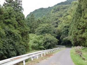 清瀧橋からの林道の画像