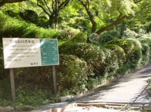 宮地山自然歩道入口の画像