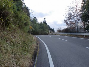 九重インター手前の高速横の車道の画像