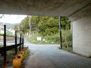 九州自動車道の高架下をくぐり抜けたところの画像