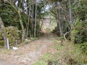 三国山の登山道入口となる林道山口線入口の画像