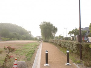 大宰府政庁跡手前の遊歩道の画像