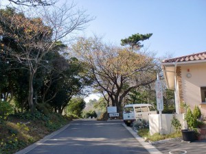 長崎鼻リゾートキャンプ場入口の画像