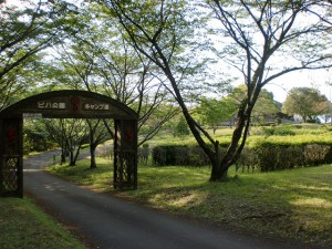 ビハ公園キャンプ場（熊本県あさぎり町）の画像