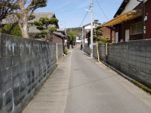 今津バス停から登志神社までの路地の画像
