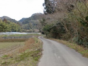 柑子岳登山口手前の農道の画像