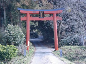 高津神社入口の赤鳥居の画像