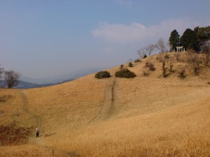杓子ガ峰山頂の草原の画像