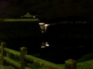 ２０１３年２月某日早朝の福岡城跡の画像