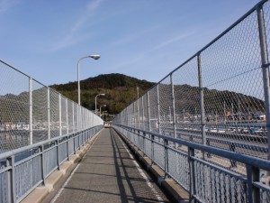 今津橋から見る浜崎山の画像