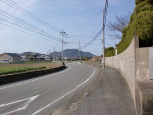 長浜海岸沿いの車道から見る柑子岳の画像