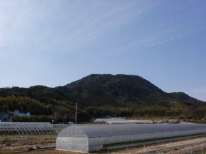 大原橋バス停（昭和バス）付近から見る柑子岳の画像