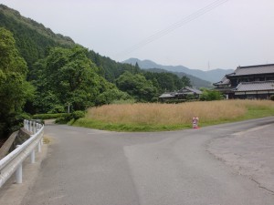 帽子岳神社一の鳥居手前にある分岐地点の画像
