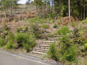 白岳山頂への登山道入口（天草・観海アルプス）の画像