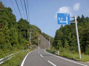 鋸山トンネル方面への道から県道655号線への分岐地点の画像