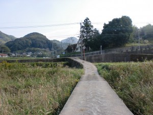 津波戸山登山口手前の細い橋の画像