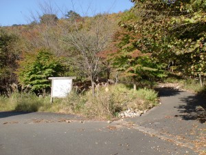 天神原山・女郎の墓への林道分岐地点の画像