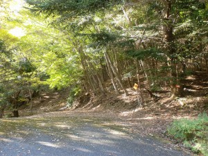 天神原山の登山道入口（林道終点地点）の画像