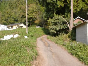中村バス停から花牟礼山登山口へ続く小路の画像