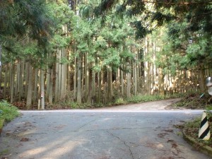 九重飯田南部地域開発農道からと花牟礼山登山口への入口の画像