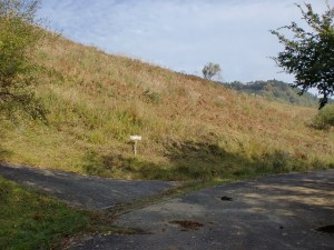 花牟礼山登山口手前の放牧地帯の分岐地点の画像