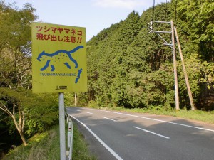 ツシマヤマネコ注意の道路標識の画像