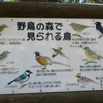 木坂野鳥の森でみられる野鳥の案内板の画像