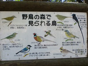 木坂野鳥の森でみられる野鳥の案内板の画像