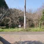 綾瀬集落から坂を上った先にあるＴ字路の画像