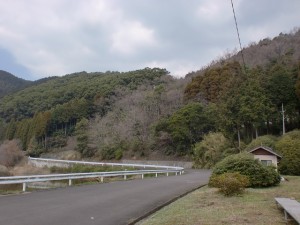 不動寺池前の車道（聖岳登山口）の画像