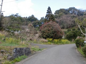 白岩山登山口手前の農道に入る分岐地点の画像