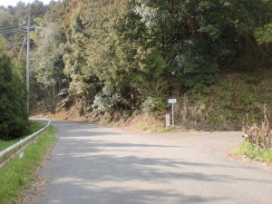 鳥越トンネル上の唐泉山登山口への林道分岐地点の画像