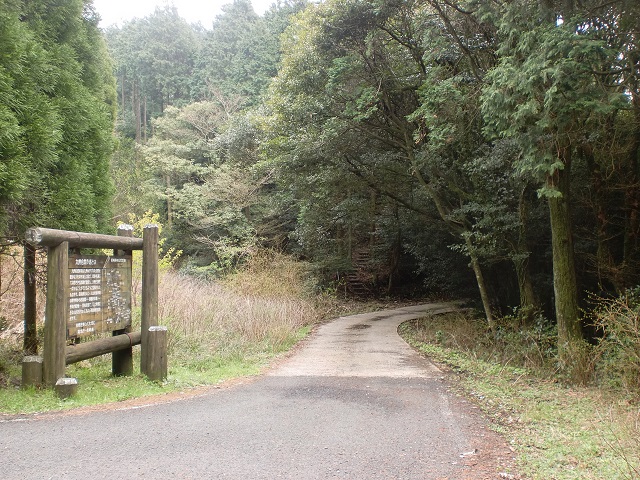 八天岳登山口（栗ノ木峠）から八天岳への林道（旧軍道・砲台道）を見るの画像