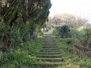 鏡山のひれふり展望台（東展望台）コースの階段状の登山道の画像