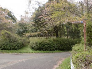 腰岳健康の森公園入口のＴ字路の画像