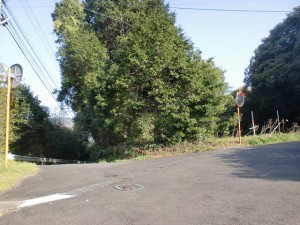 神田駅前から韮岳登山口に向かう途中のＴ字路を左折してすぐのＴ字路を右折した先にある分岐の画像