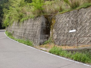 奥の湯公園キャンプ場（奥の湯ふれあいの里）入口前の分岐前にある竜王山の登山道入口の画像