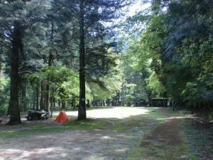 県民いこいの森キャンプ場の広場の画像