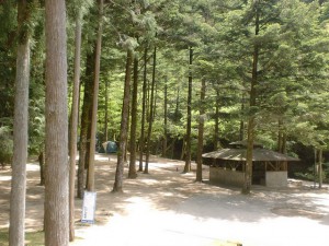 県民いこいの森キャンプ場のテン場の画像