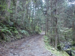 戸祇御前山登山口へ続く未舗装の林道の画像