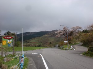 大野ヶ原のミルク園前の交差点の画像