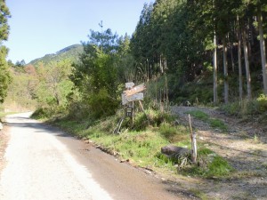 堂ヶ森の登山道入口となる梅ヶ市林道入口の画像