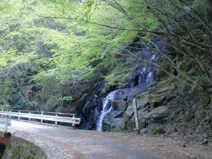 林道梅ヶ谷永子線の道路沿いにある御来光の滝の画像