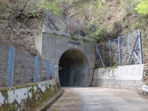 林道梅ヶ谷永子線の井内峠隧道入口（北口）の画像