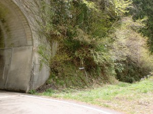 林道梅ヶ谷永子線の井内峠隧道南出口横にある梅ヶ谷山・うめなご登山口の画像