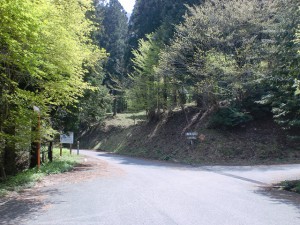 上林森林公園入口手前のＴ字路の画像