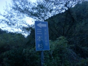 福見川町の三本杉入口に立つ三本杉を示す道標の画像