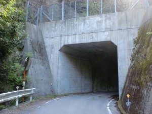 北三方ヶ森の水ヶ峠登山口の先にある隧道の入口の画像