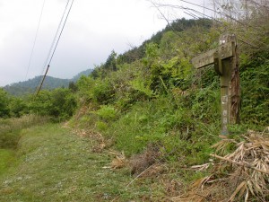 讃岐財田の百丁石（箸蔵街道）の手前の登山道に入るところの画像