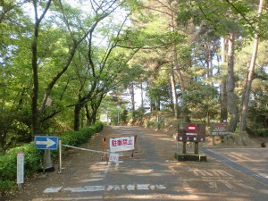 公渕森林公園内の遊歩道